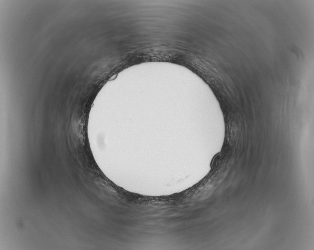 X0000111661010200908141309