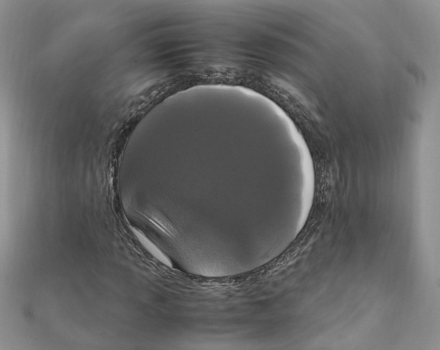 X0000111661013200908141309