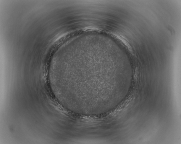 X0000111661015200908141309