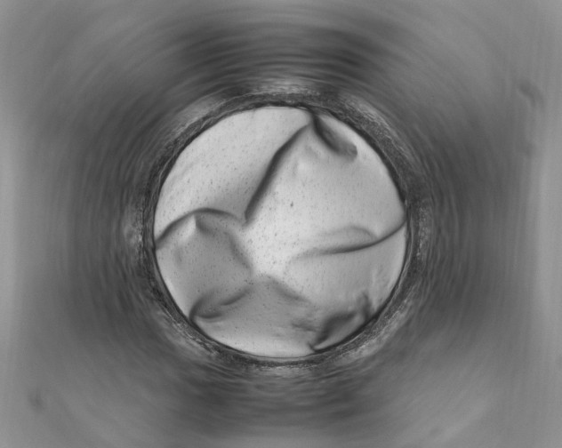 X0000111661017200908141309