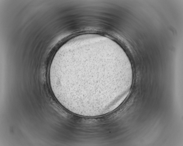 X0000111661019200908141309