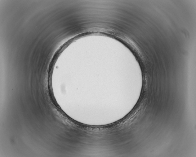 X0000111661020200908141309