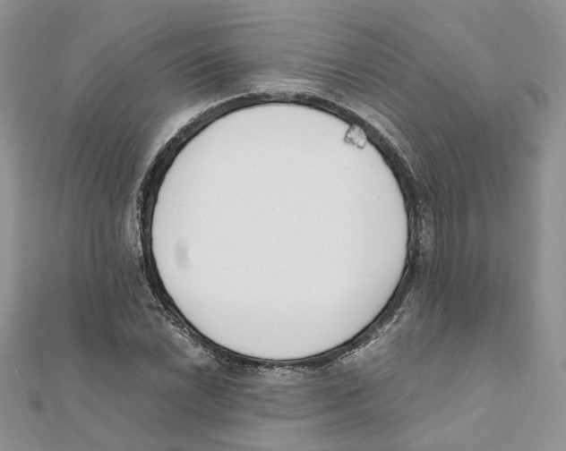 X0000111661022200908141309