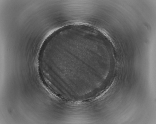 X0000111661024200908141309