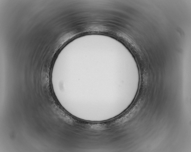 X0000111661025200908141309