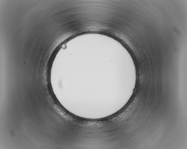 X0000111661026200908141309