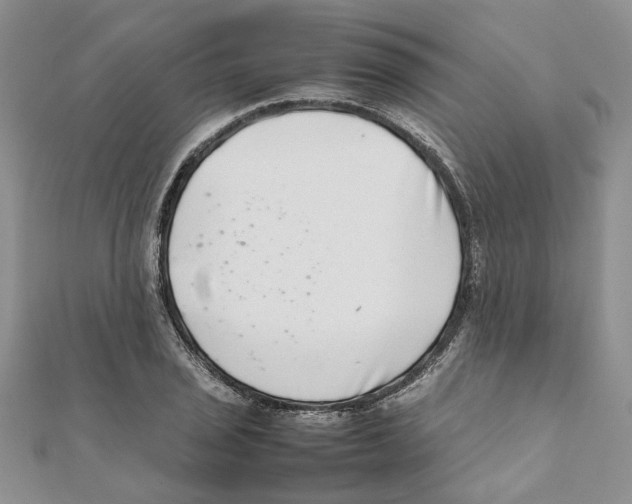 X0000111661029200908141309