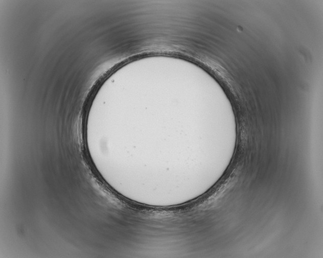 X0000111661030200908141309