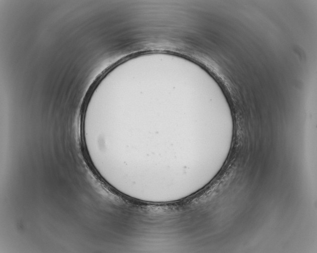 X0000111661032200908141309