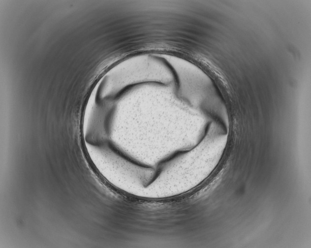 X0000111661033200908141309