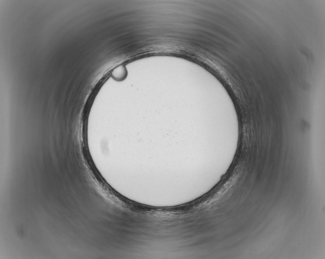 X0000111661034200908141309