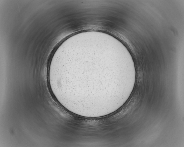 X0000111661035200908141309