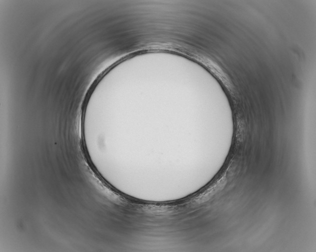 X0000111661036200908141309