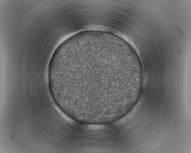 X0000111661037200908141309