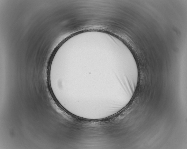 X0000111661038200908141309