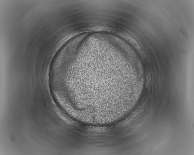 X0000111661039200908141309