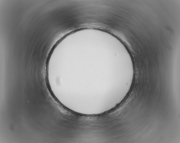 X0000111661040200908141309