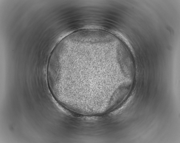 X0000111661041200908141309