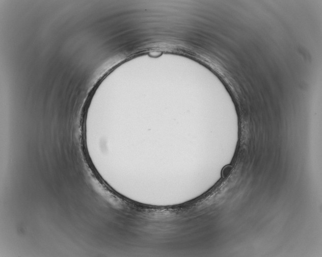 X0000111661042200908141309