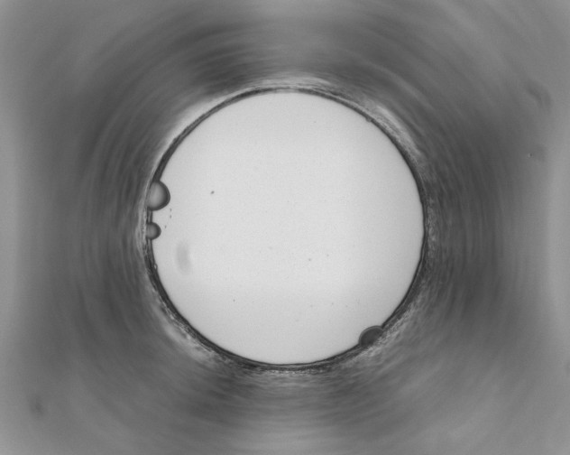 X0000111661044200908141309