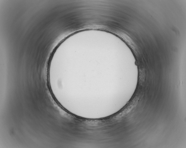 X0000111661046200908141309