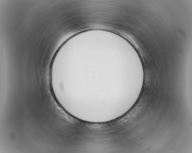 X0000111661048200908141309