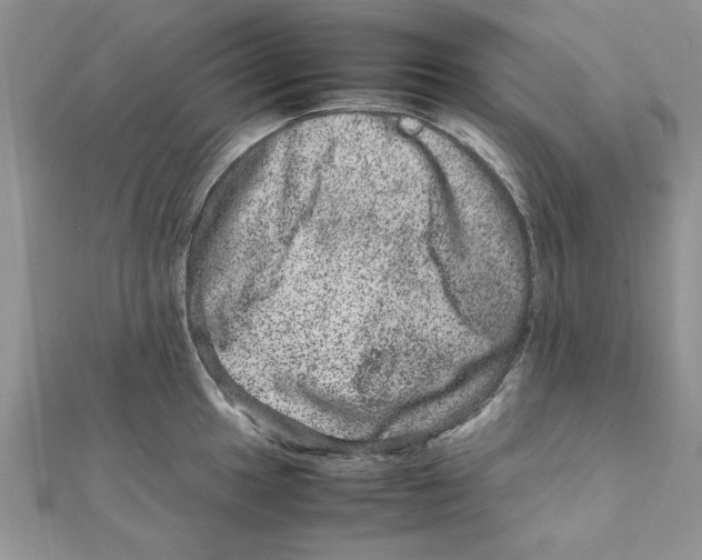 X0000111661049200908141309