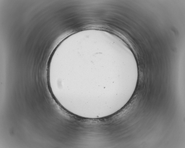 X0000111661050200908141309