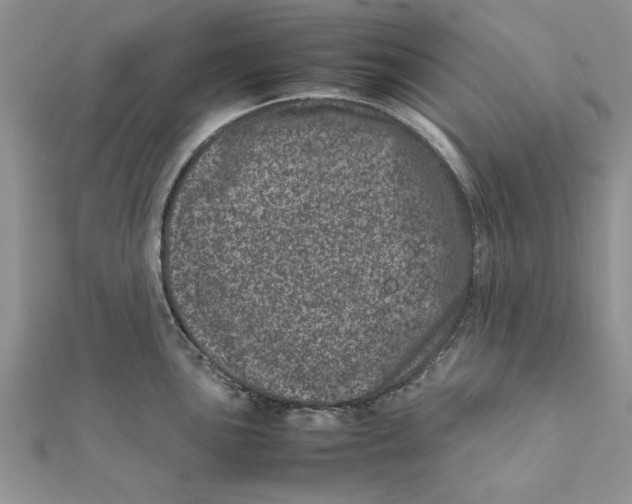 X0000111661051200908141309