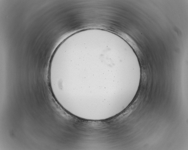 X0000111661052200908141309