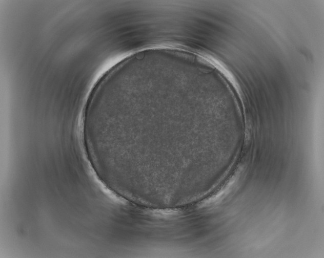 X0000111661053200908141309