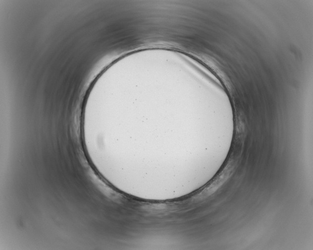 X0000111661054200908141309