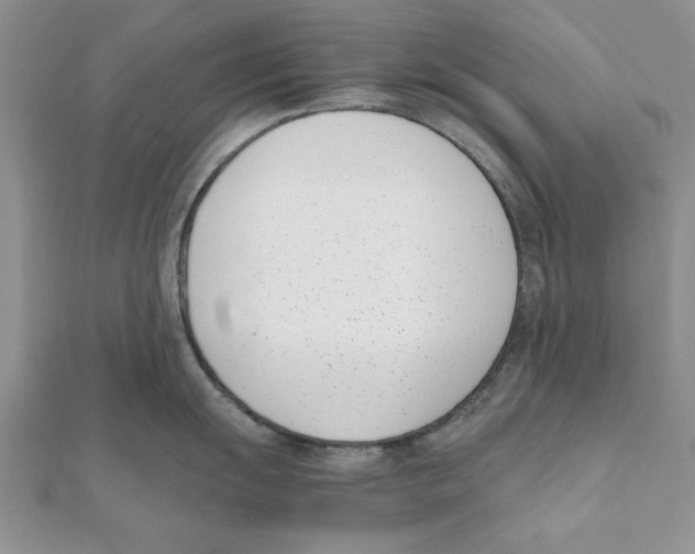 X0000111661055200908141309