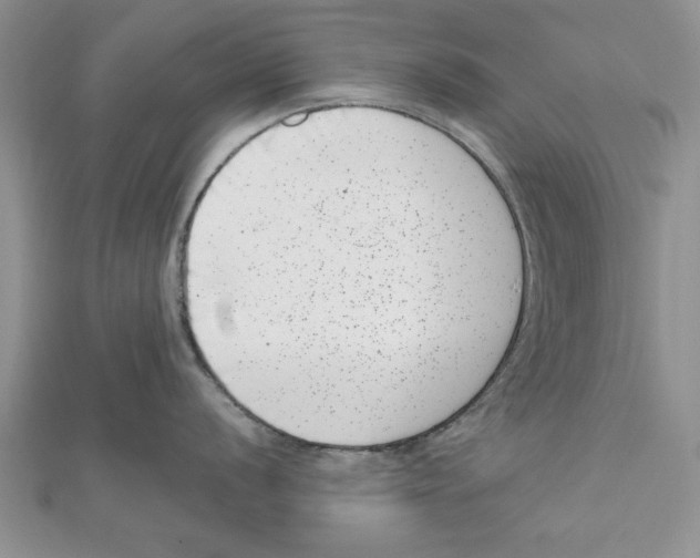 X0000111661056200908141309