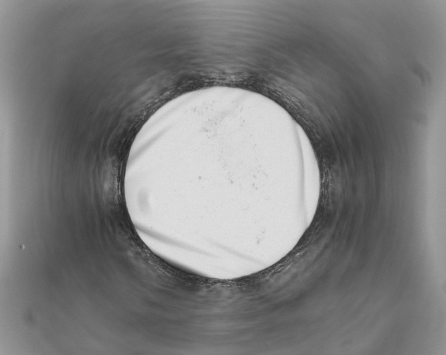 X0000111661058200908141309