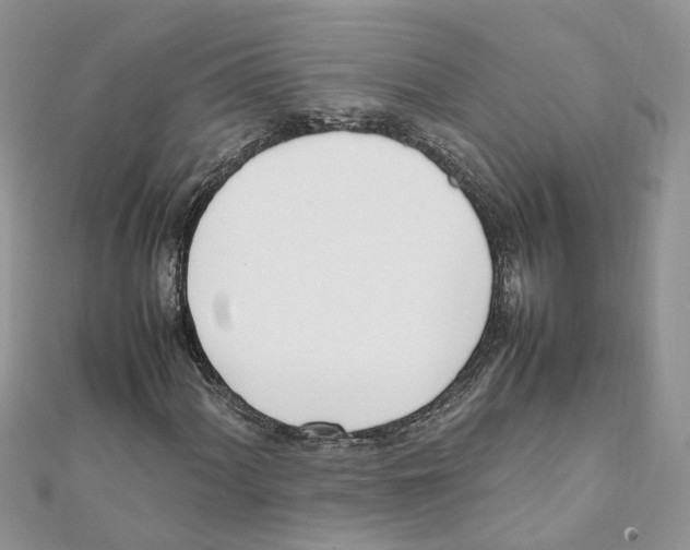 X0000111661060200908141309