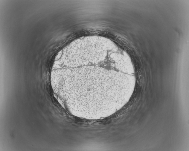 X0000111661061200908141309