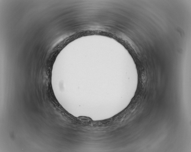 X0000111661064200908141309