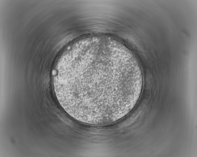 X0000111661065200908141309