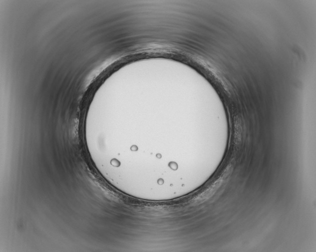 X0000111661066200908141309