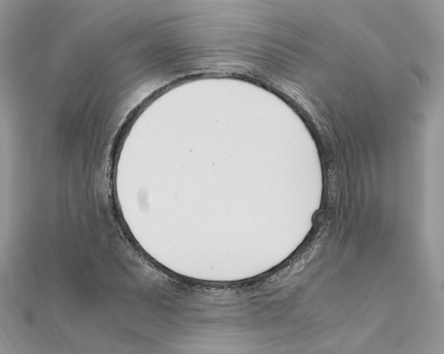 X0000111661071200908141308