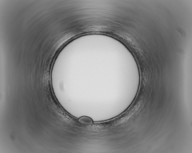 X0000111661073200908141308