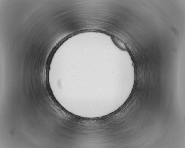 X0000111661076200908141308