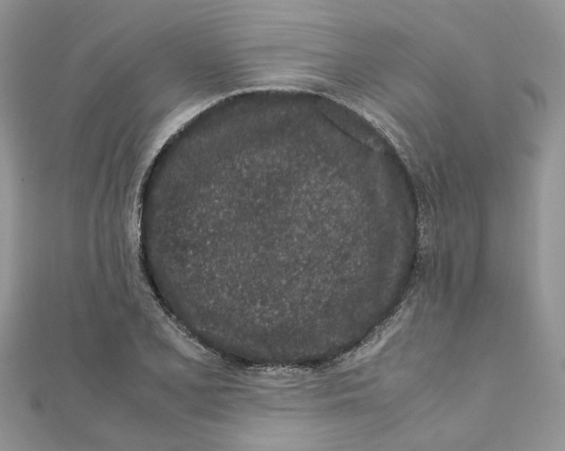 X0000111661077200908141308