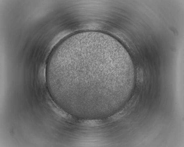 X0000111661078200908141308