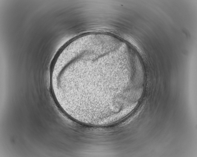 X0000111661079200908141308