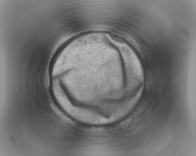 X0000111661080200908141308