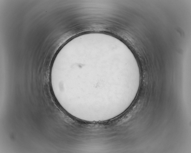 X0000111661081200908141308