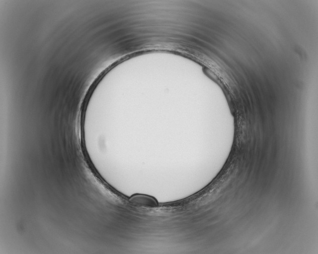 X0000111661084200908141308