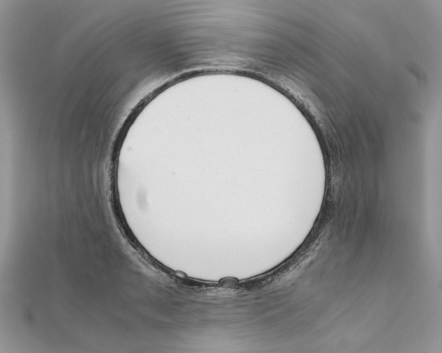 X0000111661085200908141308